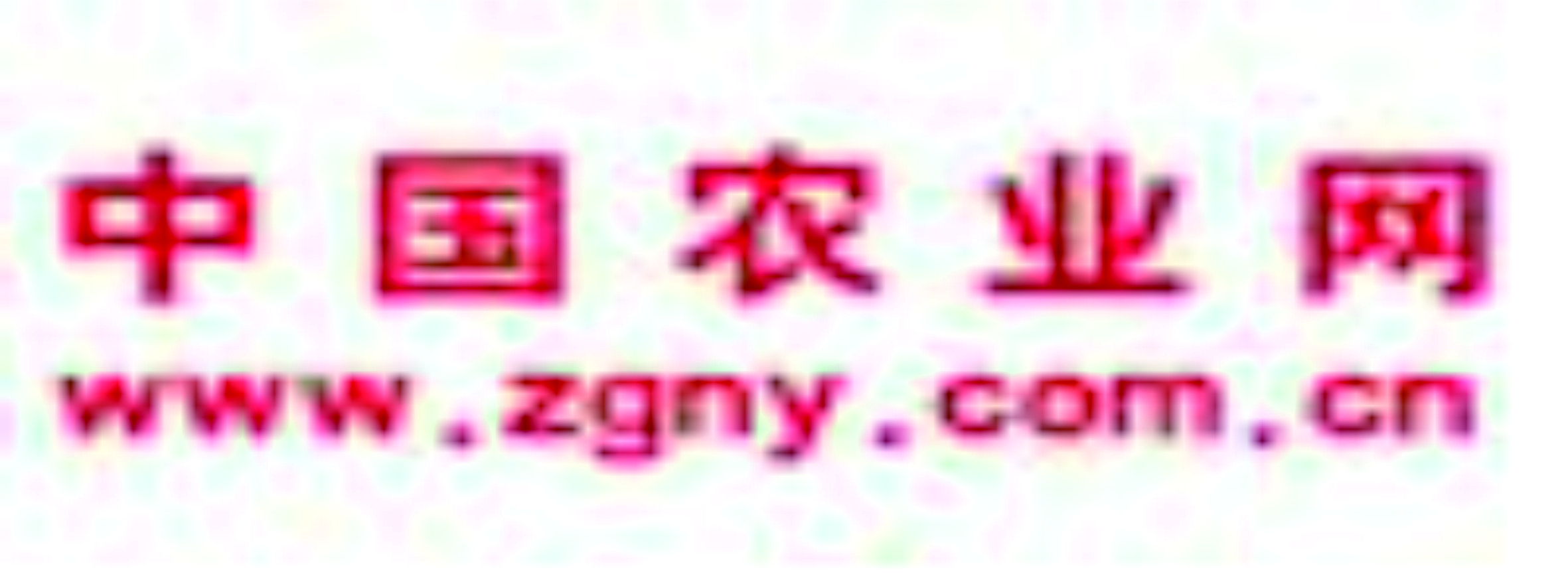 中国农业网